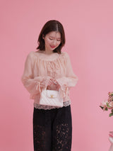 Sheer Blouse Set