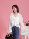 Sheer Lacy Blouse