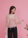Sheer Blouse Set