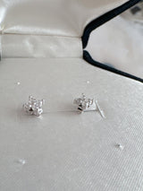 Star Blink Pierce - MAISON MARBLE